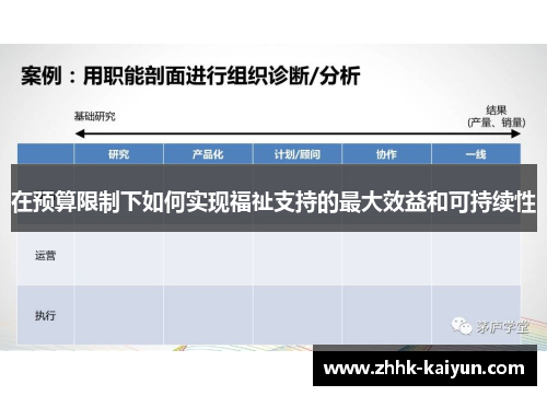 在预算限制下如何实现福祉支持的最大效益和可持续性